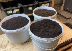 биогумус в открытом ведре