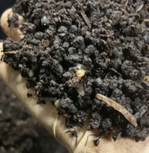 Биогумус плюс тепличный