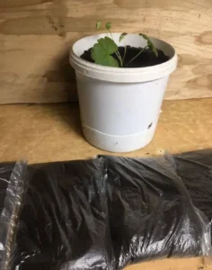 пробник биогумус 1 литр