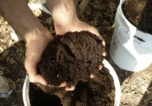 рассыпчатый биогумус