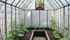 в теплице применяют биогумус