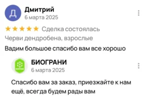 Дмитрий покупал чеовей дендробена отзыв