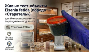 банер тест-объект Eisenia fetida (порода «Старатель») 200 половозрелых особей