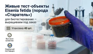 банер тест-объект Eisenia fetida (порода «Старатель») 40 половозрелых особей
