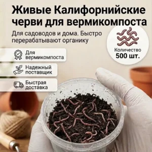 живые калифорнийские черви 500 шт.