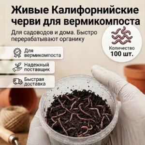 калифорнийские черви для компоста 100 шт