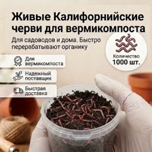калифорнийские черви 1000 шт