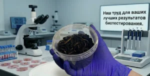 наш труд тест-объект Eisenia fetida (порода «Старатель»)