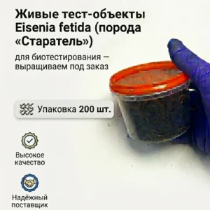 Eisenia fetida 200 штук для НИИ. Расширенная партия для серийных тестов