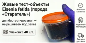 тест-объект Eisenia fetida (порода «Старатель») 40 половозрелых особей
